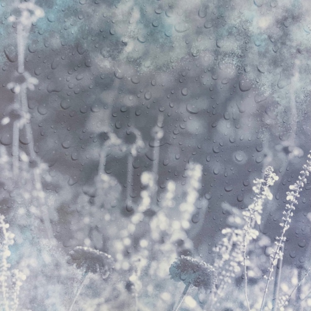 Scrapbook Paper - Picture 3 of 10